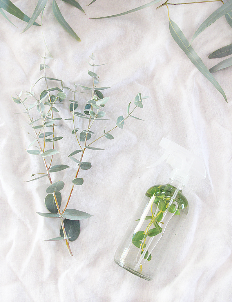 DIY Eucalyptus Shower Spray A Bubbly Life